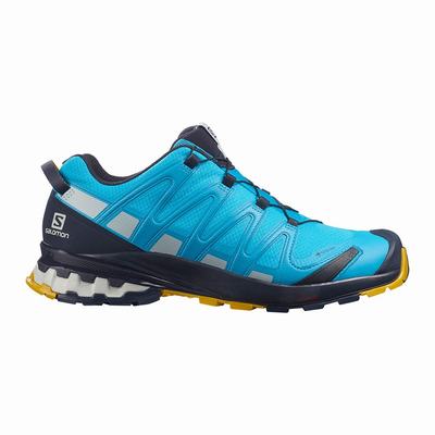 Salomon XA PRO 3D v8 GORE-TEX - Miesten Polkujuoksukengät - Sininen